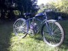 IMG_20111116_133250.jpg