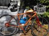 low rider gold sprock.jpg