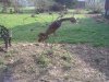 DSC05013.JPG