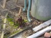 DSC05018.JPG