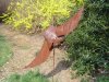 DSC05020.JPG