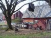 DSC05021.JPG