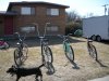 DSCN0081.JPG