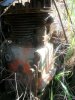 Picture 003.jpg