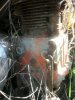 Picture 004.jpg