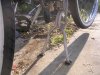 BikeNutz.jpg