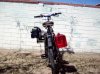 Junk Yard Dog-4.jpg