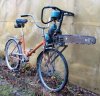 saw bike.jpg