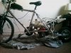 IMAG0562.jpg