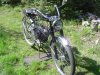 DSC05256.JPG