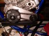 PREDATOR SCHWINN (52).JPG