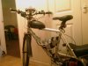IMAG0565.jpg