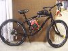 Walmart 29er cruiser_800x600.jpg
