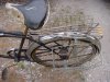 DSC00007.JPG