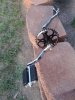 Crank shaft ped's and sproket.jpg