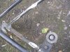 DSC05346.JPG