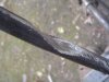 DSC05348.JPG