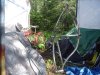 DSC05380.JPG