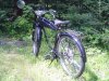 DSC05386.JPG