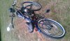 IMAG0489.jp114.jpg
