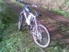 image-3389800573.jpg