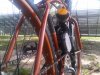 cran motor.jpg