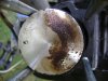 DSC00708.JPG