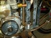 IMG09328-20120612-1946.jpg