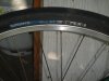 DSC00430.JPG