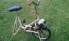 IMAG0168.jpg