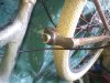 Broken-fork2.jpg