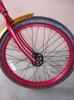 DSCF2250.JPG
