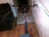IMG-20130101-01084.jpg