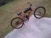 IMG-20130102-01085.jpg