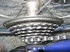 IMG_4584 downsized.jpg