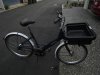 PASHLEY.jpg