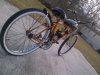 IMG-20130123-00070.jpg