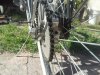 2013-03-04 09.48.00.jpg