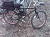 bike1.jpg