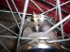 Picture005-1.jpg