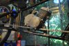 DSC_0656.jpg