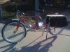 CruiserExtraCycle.jpg