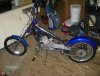 cuiser pictures 002.jpg
