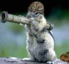 squirrels with guns.jpg