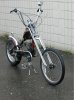 DSC_4816.JPG