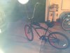 beach cruiser.jpg