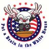 votebrain.jpeg