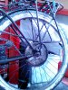 IMG_20130506_121712.jpg