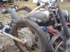 DSC05681.JPG