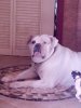 Chesty say UGGH.jpg